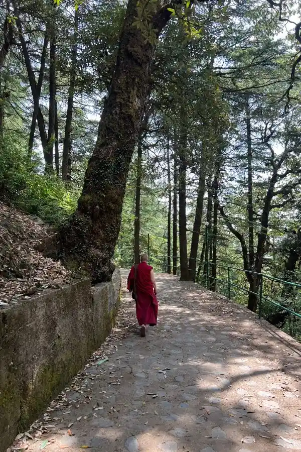 un monje caminando y rezando