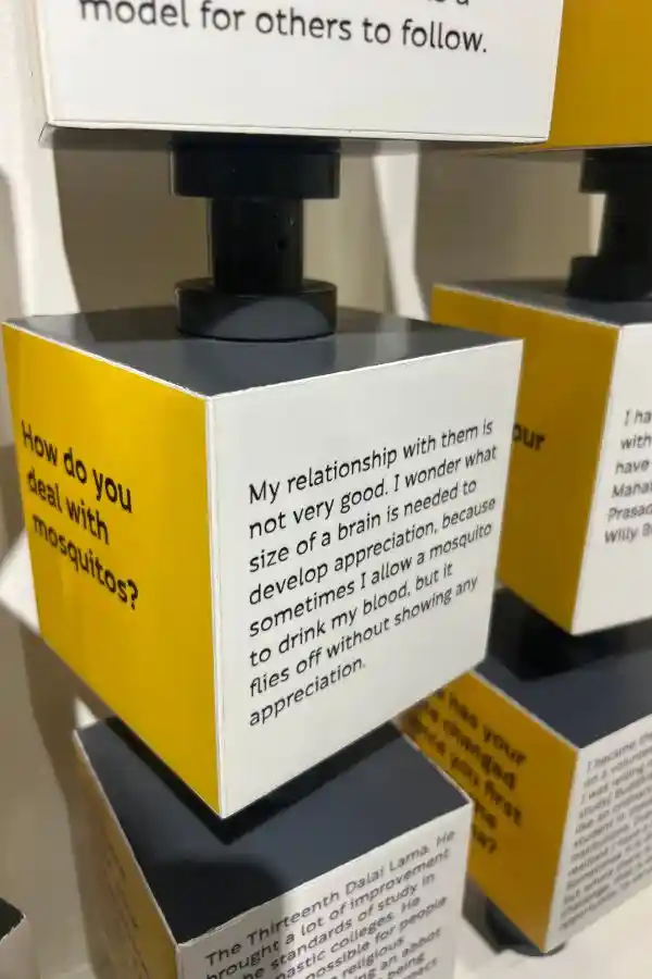 Preguntas y respuestas al Dalai Lama en el museo del tibet
