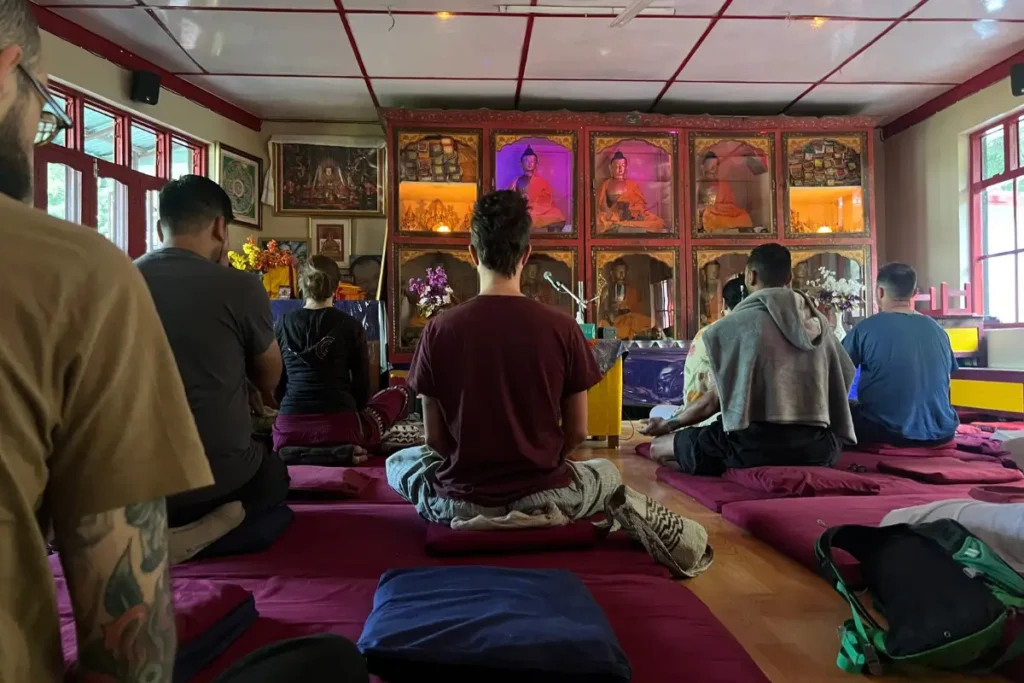Meditando en thusita meditation centre, un imprescindible que hacer en dharamsala