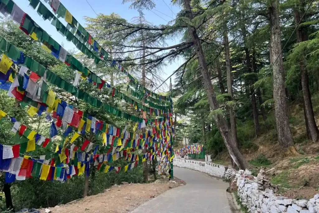 Banderas tibetanas por todos lados en Dharamsala