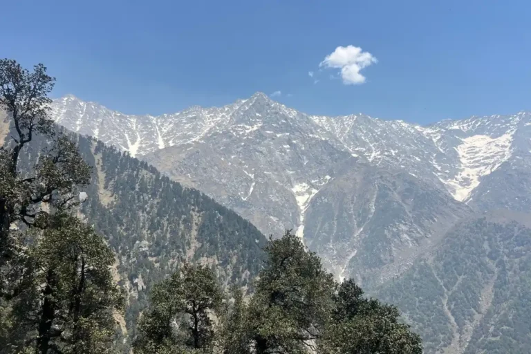 Qué ver en Dharamsala: guía completa para visitar el corazón del Tíbet en India