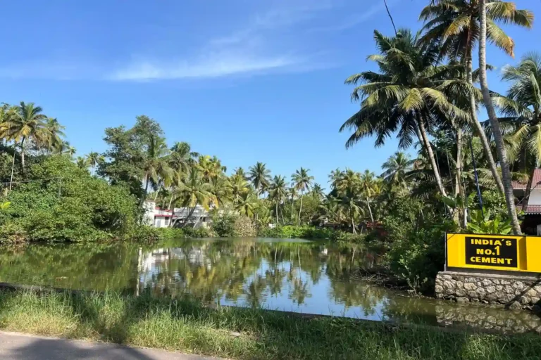 Ruta por los ashrams del sur de India: mi itinerario completo